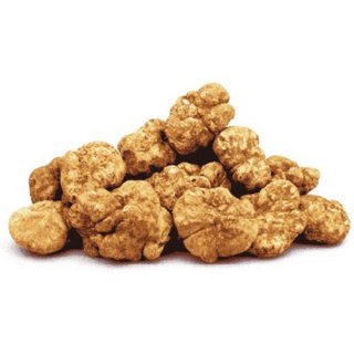 Italian White Truffle 100gr~Plus