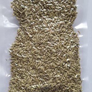 Fennel seeds