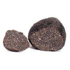 Fresh Australian Truffle - Extra Quality Grade