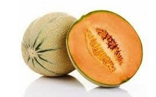 Melone Cantalupo