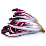 Radicchio Tardivo di Treviso