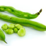 Broad Beans (Fava Beans)