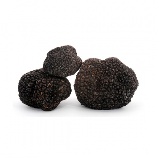 Black Summer truffle
