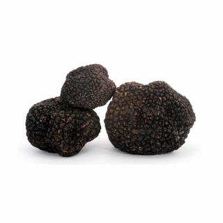 Tartufo Nero Estivo