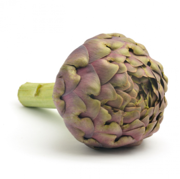 Roman Artichoke Mammole Extra