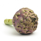 Roman Artichoke Mammole Extra