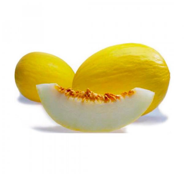 Melone Gialletto