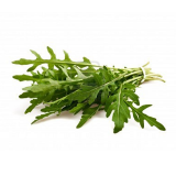 Fresh Rocket Salad Rucola 100gr tray