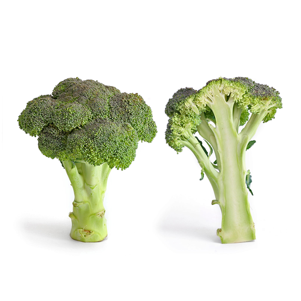 Broccoli Verdi Italiani