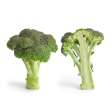 Green Italian Broccoli