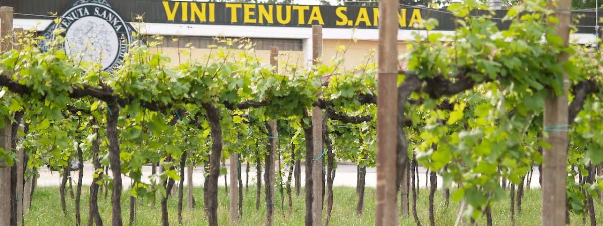 Tenuta S. Anna