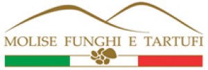 Molise Funghi e Tartufi logo