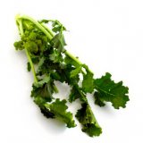 Cime di Rapa