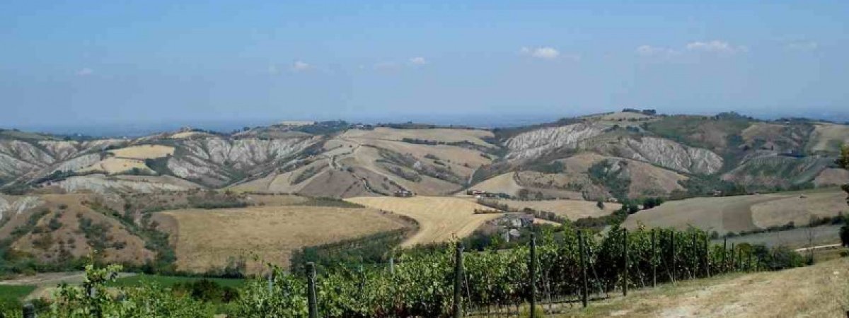 Gregorina