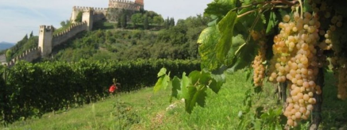 Riondo