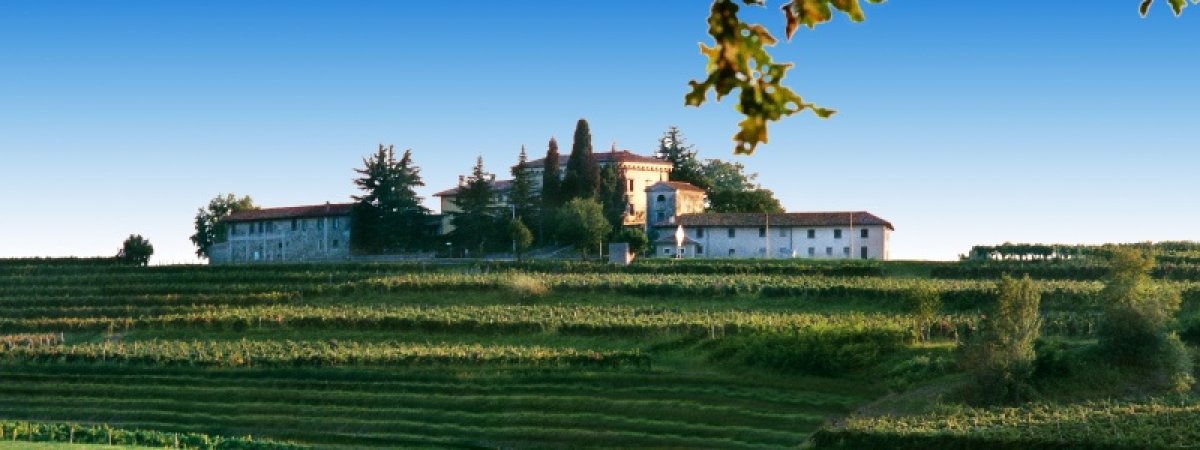 Azienda Agricola Poggiobello