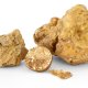 white_truffle_are_now_available