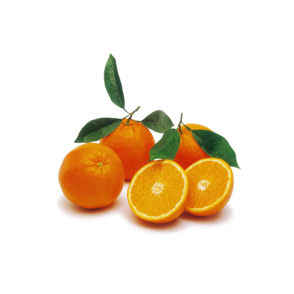 Organic Lanellate Orange from Sicily