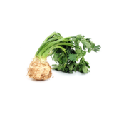 Italian Celeriac