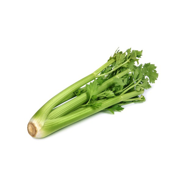 Italian Celery