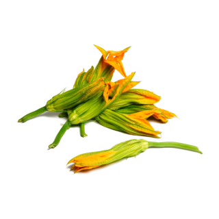 Zucchini Flowers