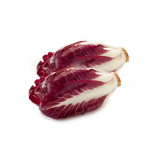 Long Treviso Radicchio