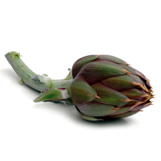 Sardinian Spine Artichoke