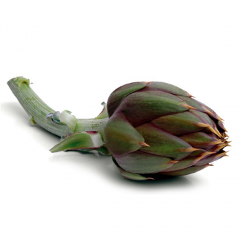 carciofi_sardi_con_spine