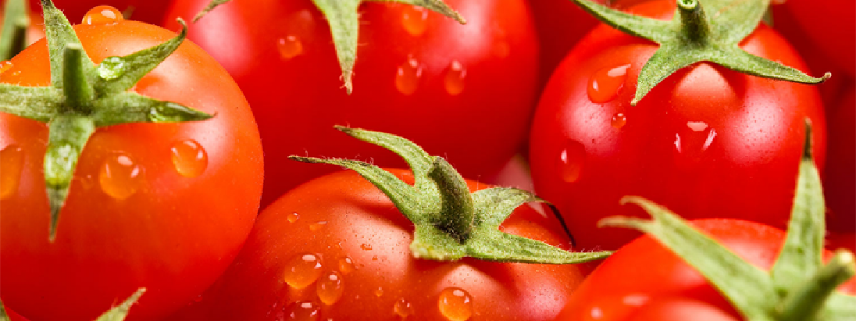 La Bella San Marzano