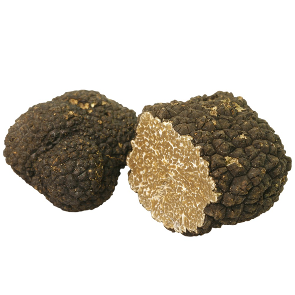 Autumn truffle