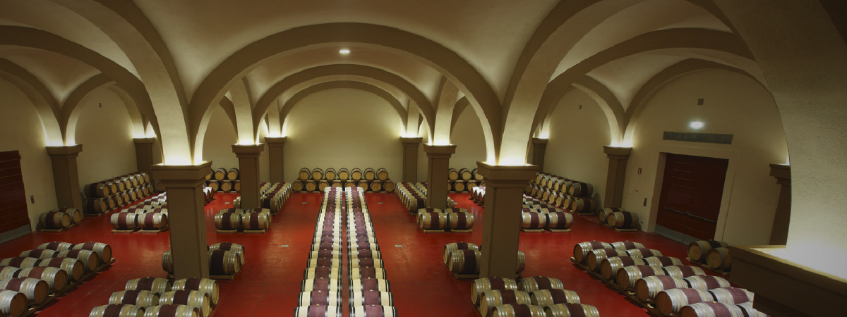 Tenuta Argentiera Bolgheri