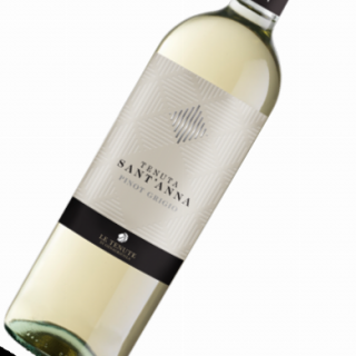 Pinot Grigio DOC