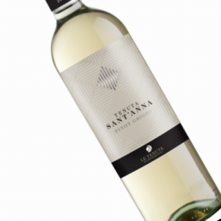 Pinot Grigio DOC