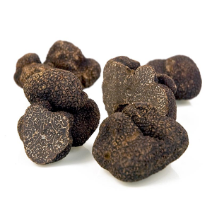 FROZEN Australian Black Winter Truffle 40 - 50gr