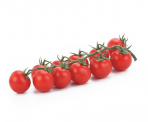 Fresh pomodorini directly from Italy. Small, full of flavour cherry tomatoes ideal to eat with pasta in a homemade fresh sauce or as in the 'Caprese' salad: on top of buffalo mozzarella.