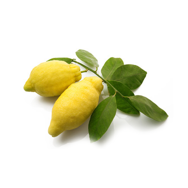 Amalfi Lemons