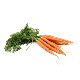 Tufted Carrots