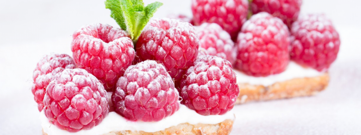 Triticum just for bread lovers