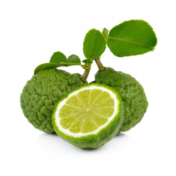 Bergamot citrus