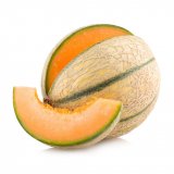 Melon Philibon