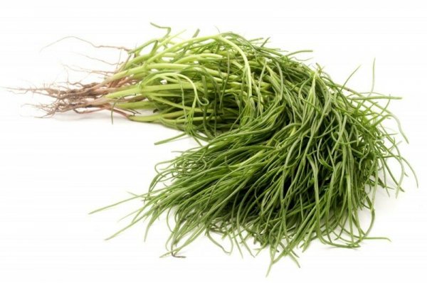 Agretti - Friar's beard