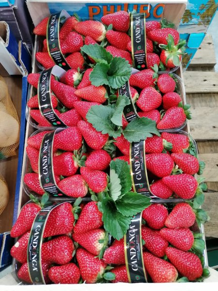Italian Strawberries