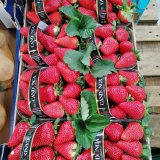 Italian Strawberries