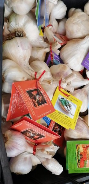 Piedmont Garlic Bundle