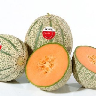 Red Falcon Sicilian Melon