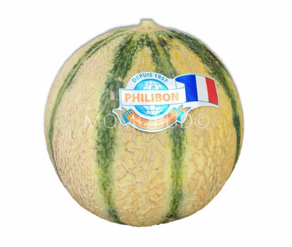 Melone Francesino