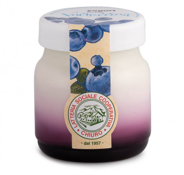 Blueberry Yogurt 150g