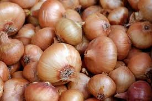 Copper Montoro Onions