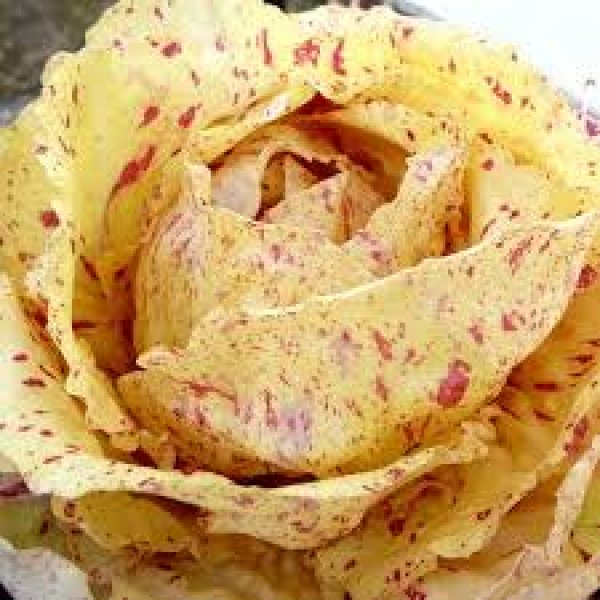Organic Castelfranco radicchio