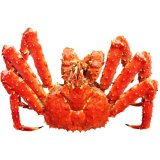 Live Red King Crab 4-5Kg